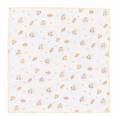 Infants Baby 2PC Muslin Face Cloth