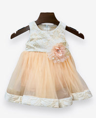 Floral Embroidered Partywear Frock