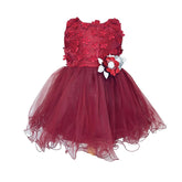 Baby Girl Maroon Floral Frock