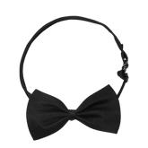 Black Bow Tie