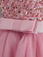 Pink Shimmer Fancy Frock