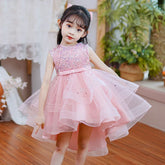 Pink Tail Sequence Party Wear Frock
