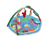 Tinnies Baby Play Gym