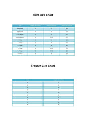 Light Blue Kurta Shalwar Set