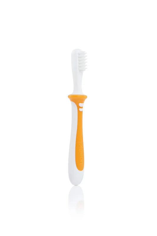 Training Toothbrush Lesson 2 Orange
