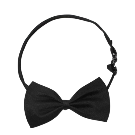 Black Bow Tie