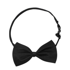 Black Bow Tie