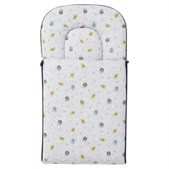 Infant Baby Boy Grey Carry Nest