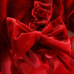 Red Velvet Butterfly Frock