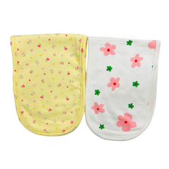 2 in 1 Feeding Bib