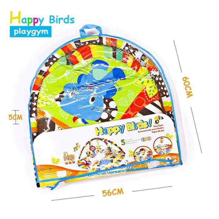 Happy birds Play gym