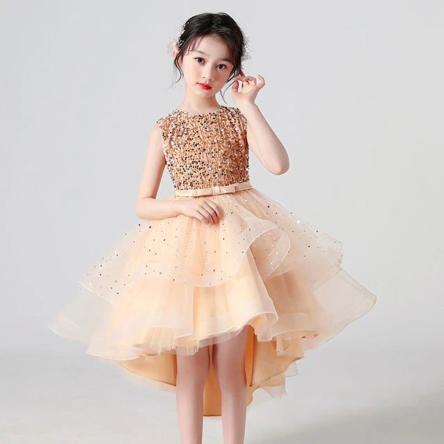 Golden Tail Sequence Party Wear Frock