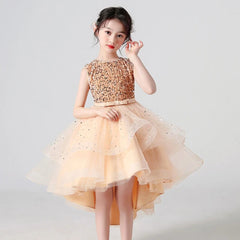 Golden Tail Sequence Party Wear Frock