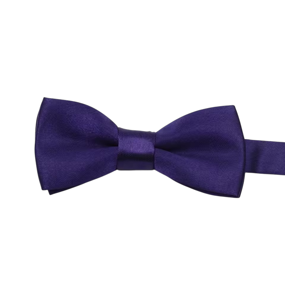 Purple Silk Bow Tie