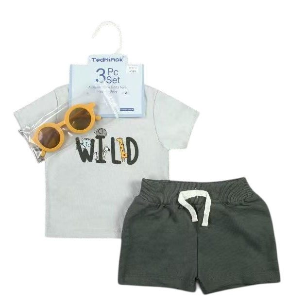 3 Piece Baby Boy Trendy Summer Set