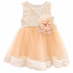 Floral Embroidered Partywear Frock