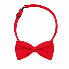 Baby Boy Bow Tie