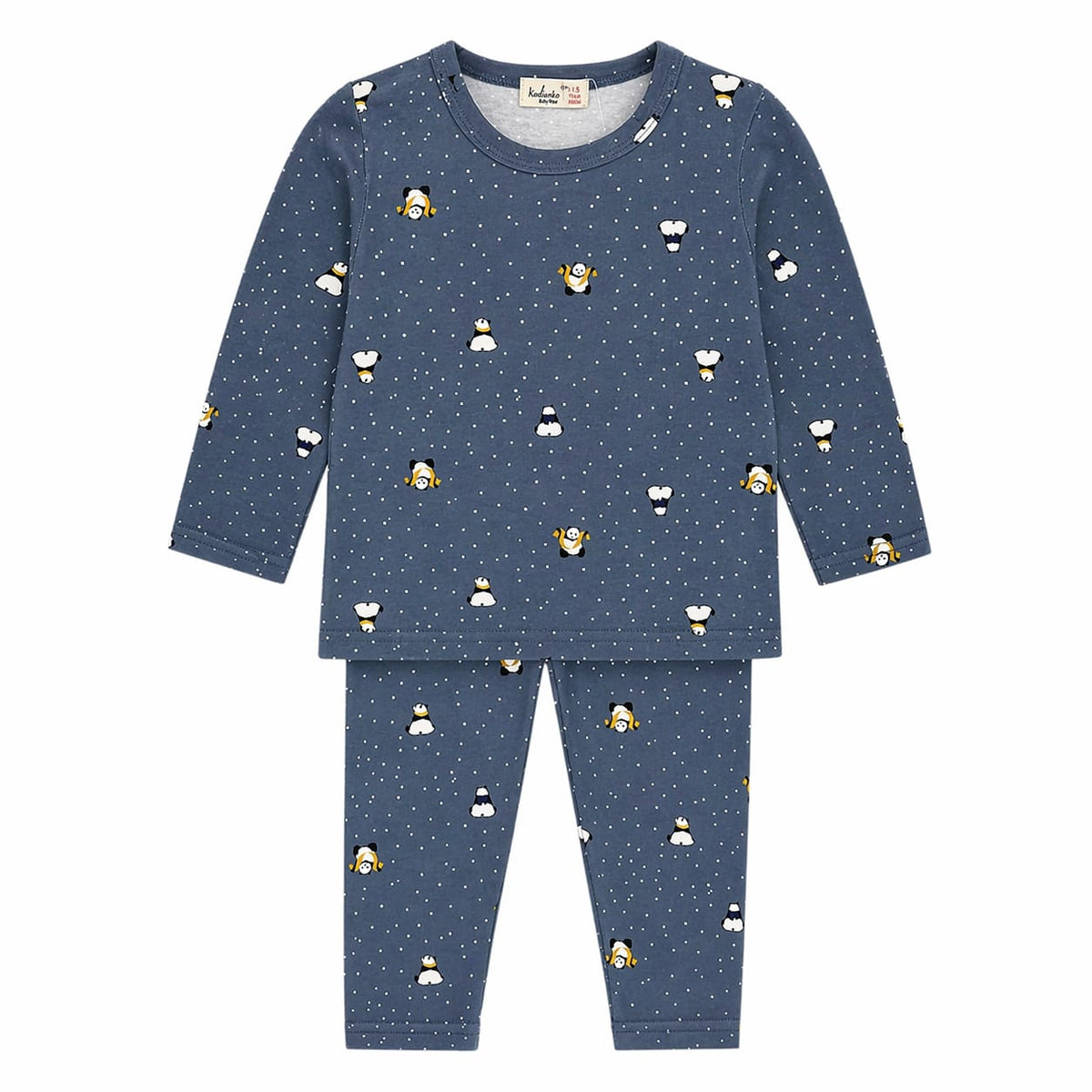 Baby Boy 2PC Blue Panda Suit