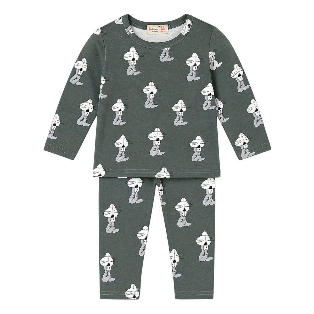 Baby Boy 2PC Green Rabbit Suit