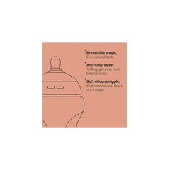 TT Bottle 340ML PLAN PK2 NATUREL START